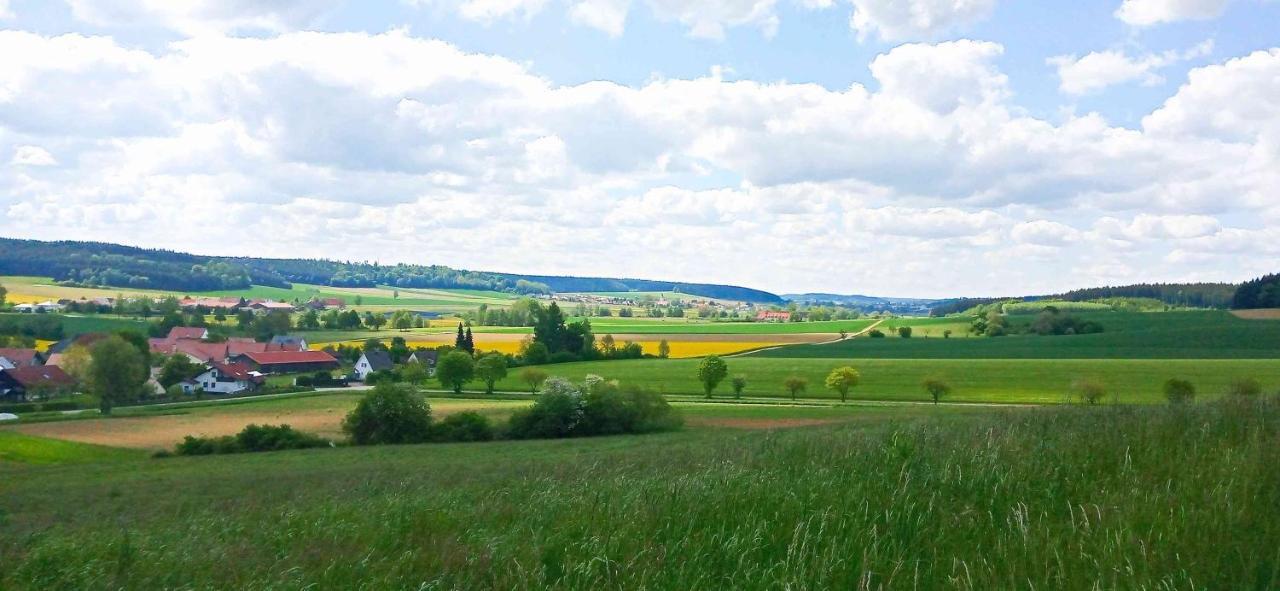 Ferienwohnung Im Barockwinkel Neuburg an der Kammel Εξωτερικό φωτογραφία
